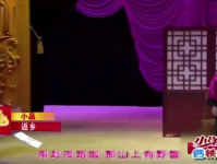 返乡小品,返乡小品中的时代变迁与情感共鸣