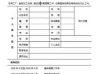 求职简历表格下载,打造专业简历，助力职场起航