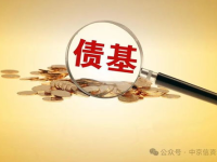 债券基金,债券基金的投资策略、风险收益与市场表现