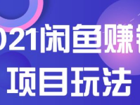 赚钱项目,揭秘小众高收益项目与新兴创业趋势